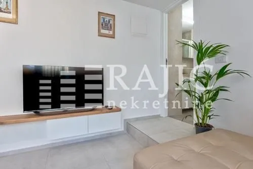 Living room with a TV and decorative plants.