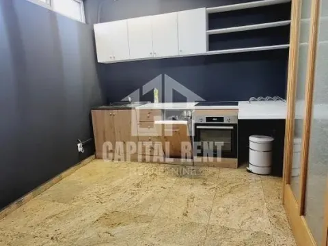 Rent, office space, 540m², Južni Bulevar, Vračar Sve Podlokacije - image 8