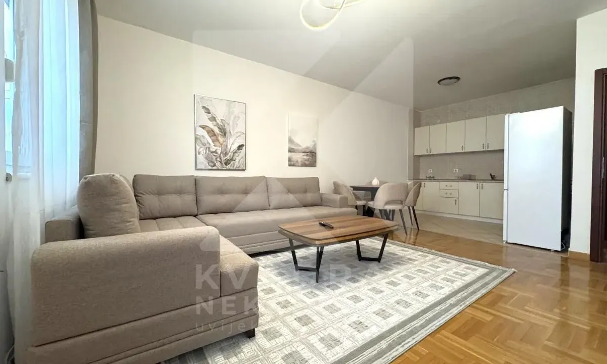 Izdavanje, jednosoban stan, 54m², Zagorič, Podgorica