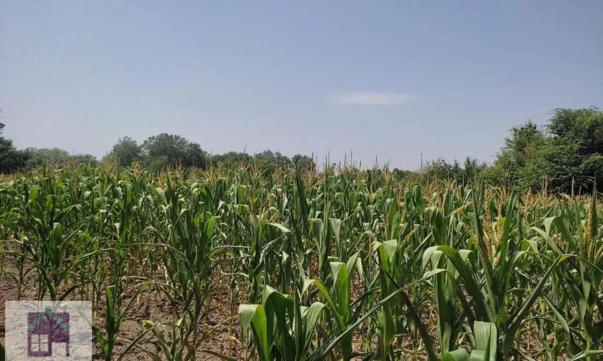 Prodaja, plac, 71m², Stubline, Obrenovac