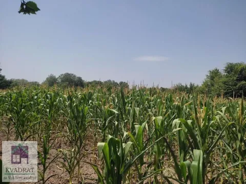 Sale, land lot, 71m², Stubline, Obrenovac
