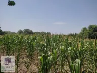 Prodaja, plac, 71m², Stubline, Obrenovac - image 1