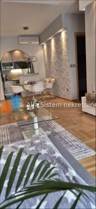 Izdavanje, dvosoban stan, 54m², Vračar Sve Podlokacije, Beograd