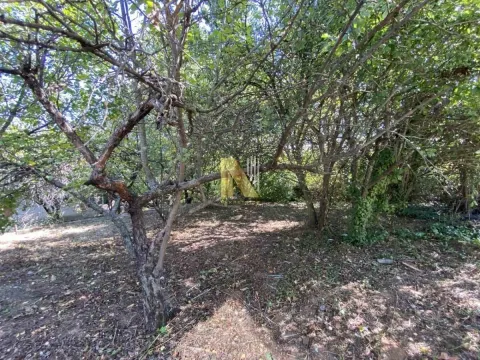 Prodaja, kuća, 132m², Sremska Kamenica, Petrovaradin - image 15