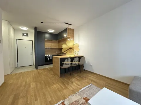 Izdavanje, jednosoban stan, 50m², Stari Aerodrom, Podgorica - image 4