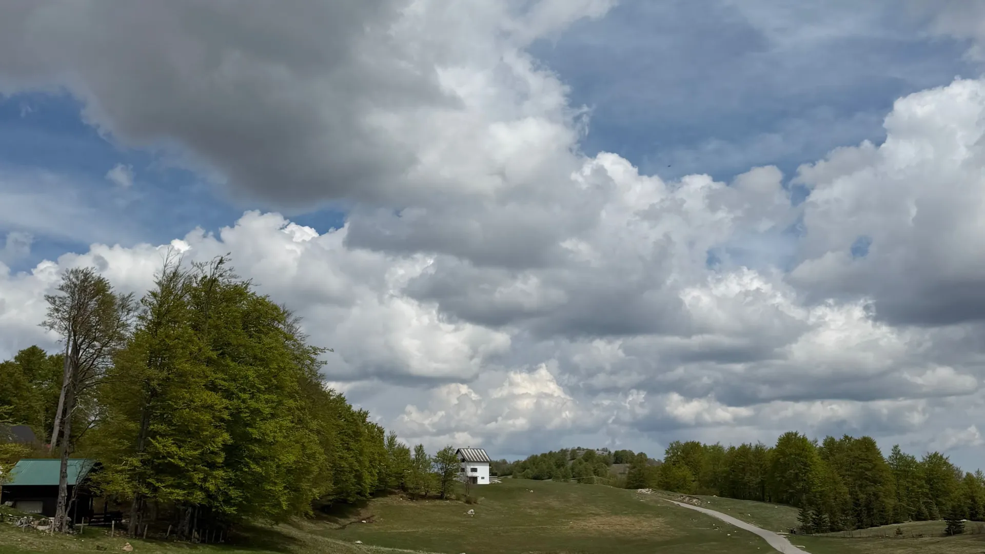 Prodaja, plac, 6075m², Pošćenski Kraj, Žabljak