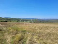 Prodaja, plac, 18200m², Grocka, Beograd - image 11