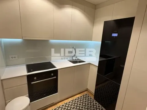 Izdavanje, jednosoban stan, 37m², Stari Grad, Beograd - image 10