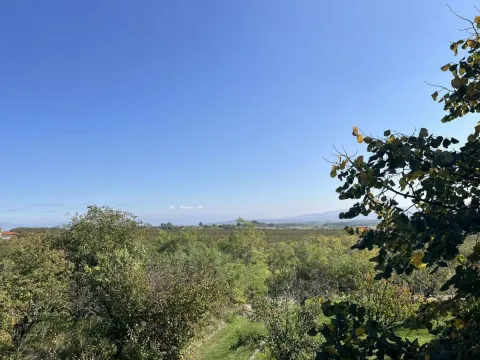 Prodaja, kuća, 95m², Siokovac, Jagodina - image 9