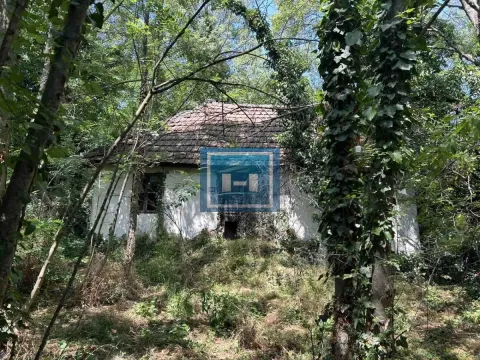 Prodaja, plac, 900m², Lapovo, Srbija - image 4