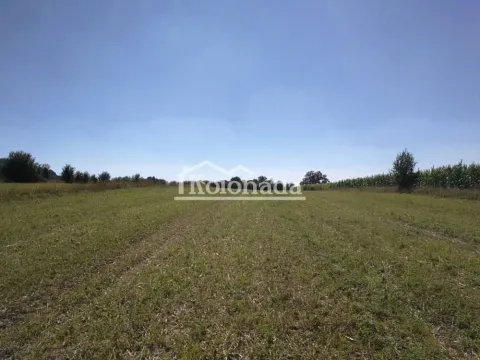 Sale, land lot, 6700m², Nemenikuće, Sopot - image 6