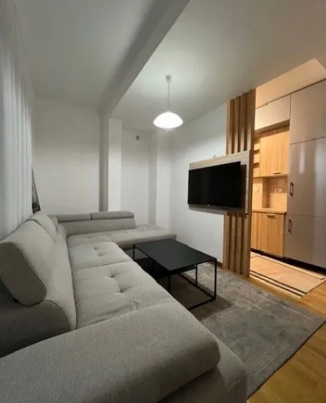 Rent, one bedroom apartment, 42m², Ljubović, Podgorica