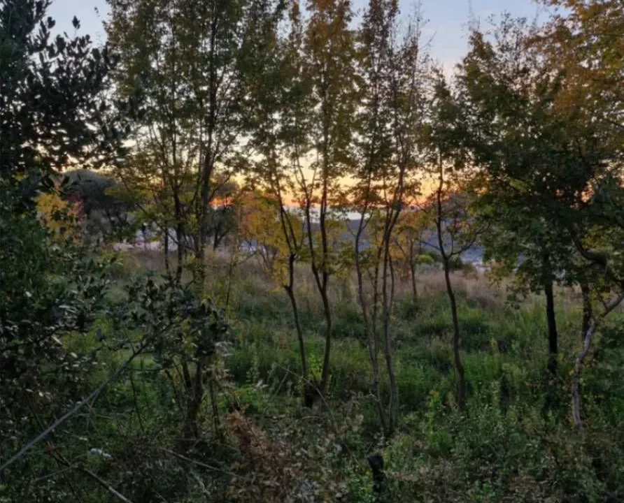 Prodaja, plac, 380m², Zaljevo, Bar