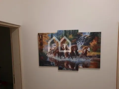 Izdavanje, dvosoban stan, 68m², Botanička Bašta, Palilula Sve Podlokacije - image 7