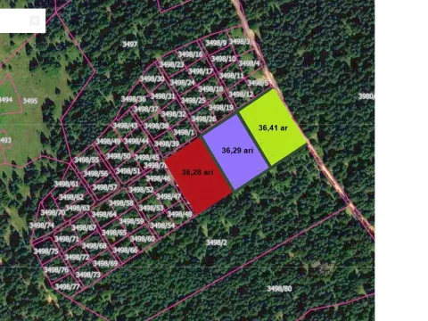 Sale, land lot, 3600m², Golija, Ivanjica - image 12