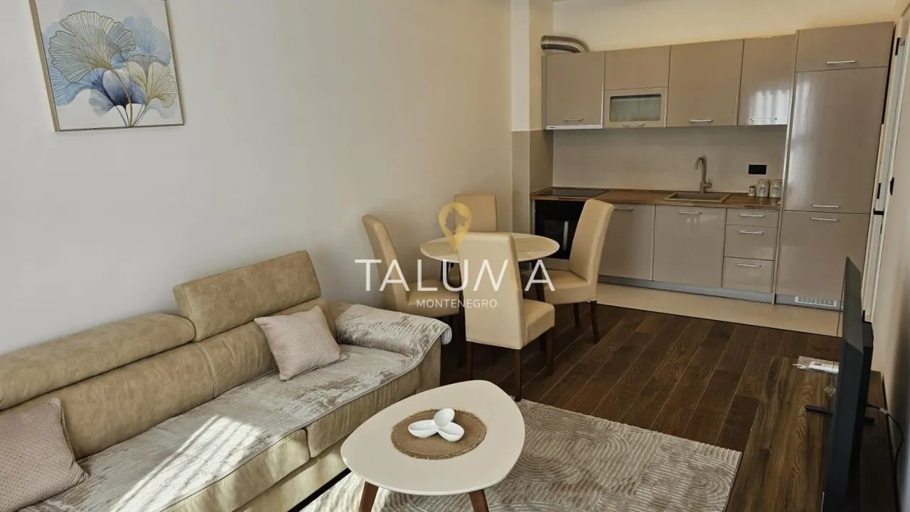 Rent, one bedroom apartment, 47m², Centar, Podgorica