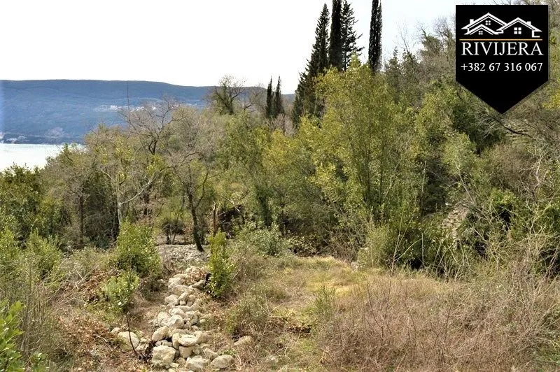 Prodaja, plac, 12300m², Topla, Herceg Novi