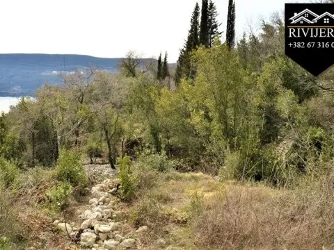 Prodaja, plac, 12300m², Topla, Herceg Novi - image 2