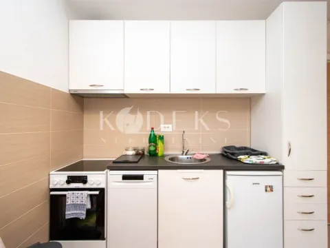 Rent, one bedroom apartment, 40m², Ljubović, Podgorica - image 3