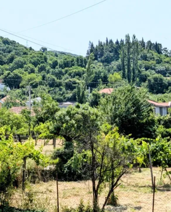 Sale, land lot, 2000m², Zlatica, Podgorica