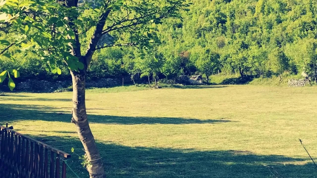 Prodaja, plac, 2280m², Centar, Bar