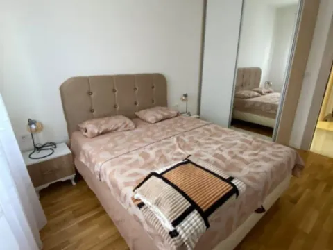 Izdavanje, jednosoban stan, 50m², Zabjelo, Podgorica - image 2