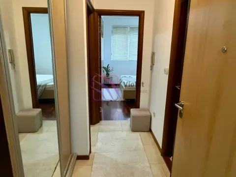 Izdavanje, jednosoban stan, 44m², Stari Aerodrom, Podgorica - image 14