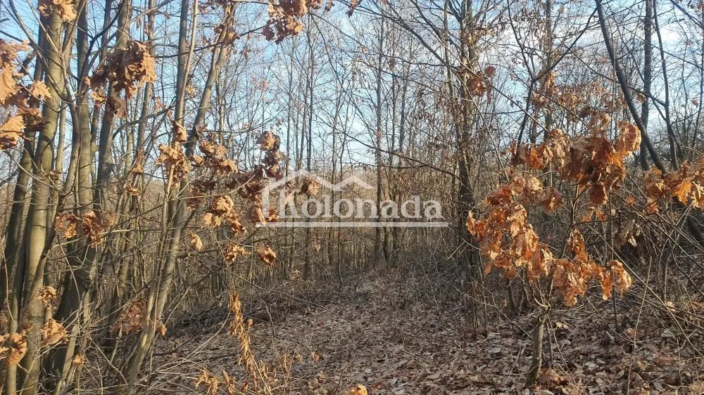 Sale, land lot, 3000m², Babe, Sopot