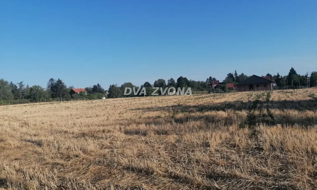 Sale, land lot, 1600m², Čortanovci, Inđija