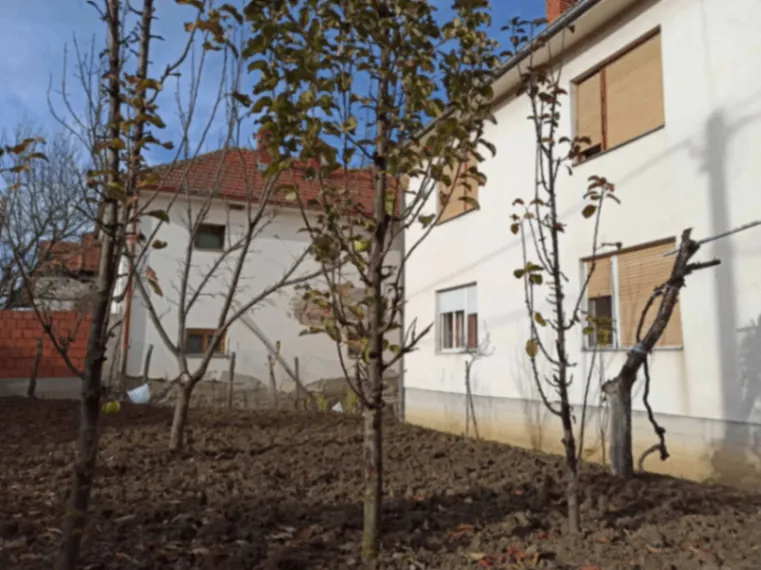 Prodaja, kuća, 212m², Zlatokop, Vranje