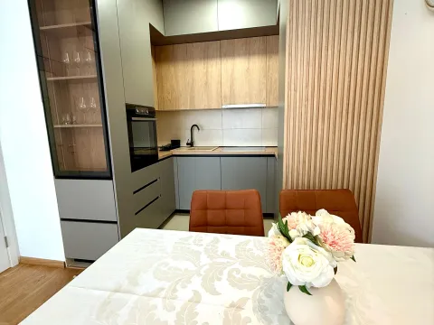 Rent, one bedroom apartment, 45m², Zabjelo, Podgorica - image 4