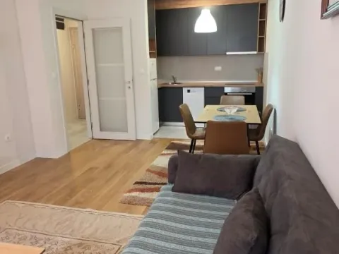 Prodaja, jednosoban stan, 49m², Central Point, Podgorica - image 7