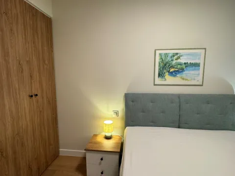 Rent, two bedroom apartment, 47m², Novi Beograd Blok 65, Novi Beograd Sve Podlokacije - image 14