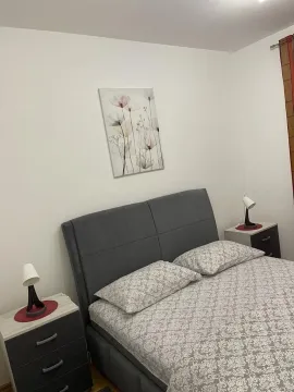 Izdavanje, jednosoban stan, 50m², Dalmatinska ulica, Podgorica - image 10