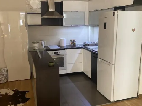 Izdavanje, jednosoban stan, 42m², Bulbulder, Zvezdara Sve Podlokacije - image 5