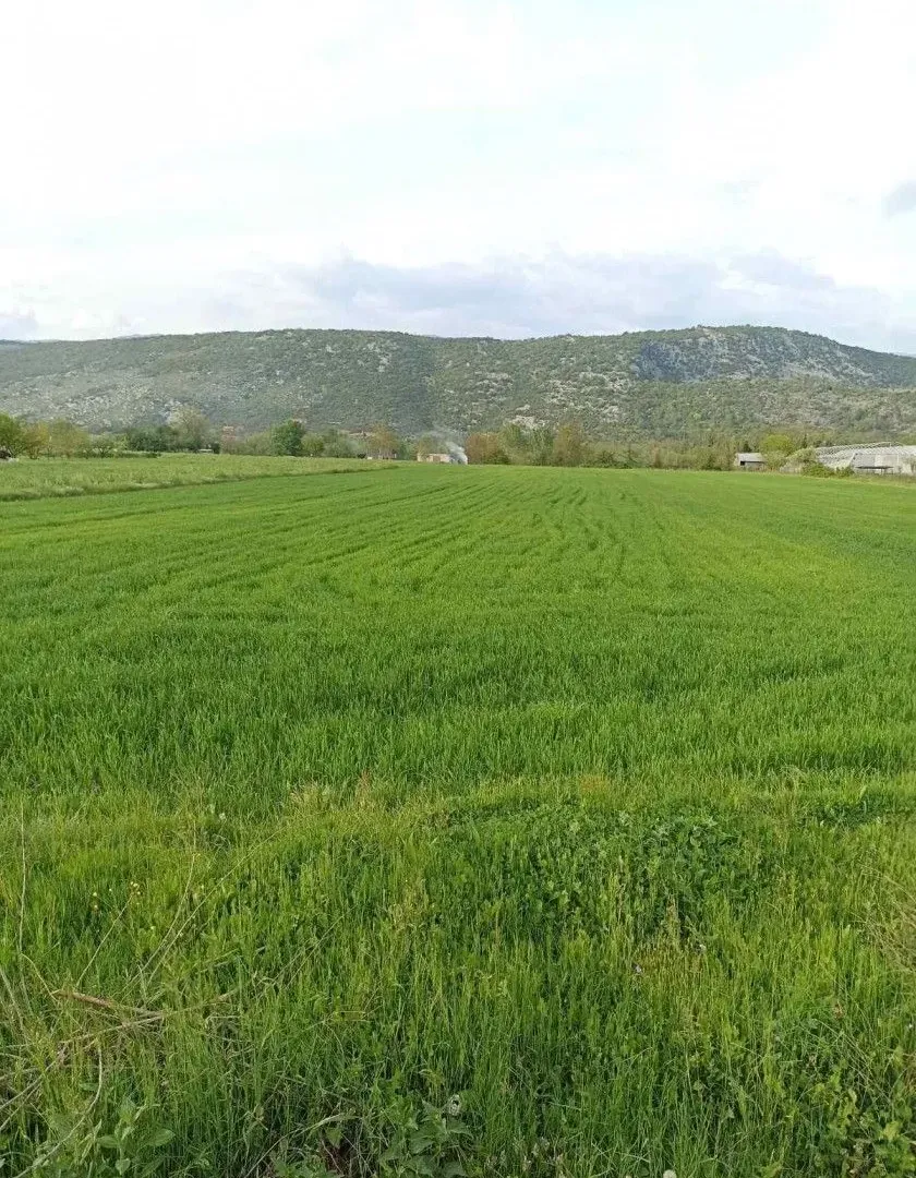 Sale, land lot, 4500m², Danilovgrad, Crna Gora