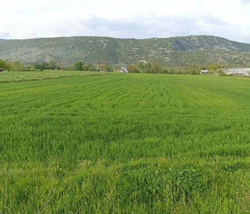 Sale, land lot, 4500m², Danilovgrad, Crna Gora