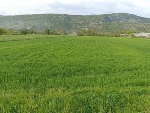 Prodaja, plac, 4500m², Danilovgrad, Crna Gora