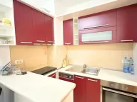 Izdavanje, stan, 48m², Tuški Put, Podgorica - image 9