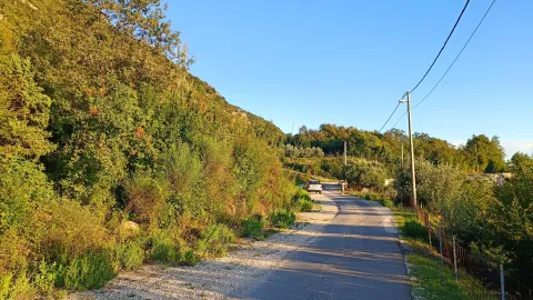 Asfaltni put okružen zelenilom i drvećem uz brdo. - image 3