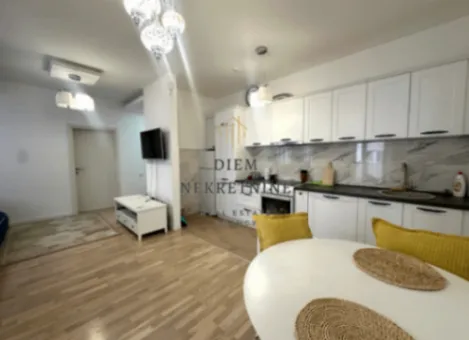 Izdavanje, jednosoban stan, 43m², Drac, Podgorica - image 8