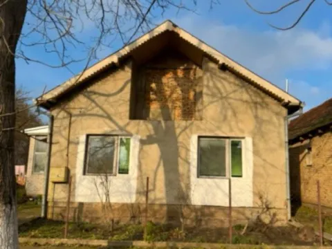 Prodaja, kuća, 100m², Krajišnik, Sečanj - image 2