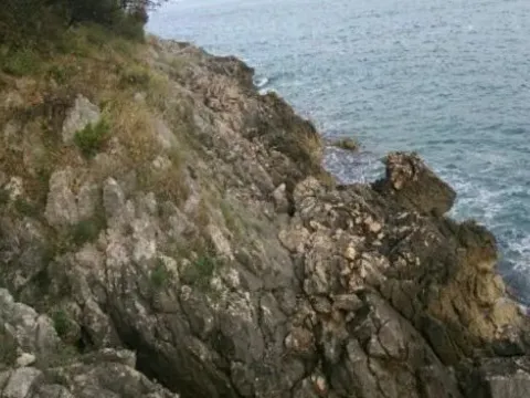 Prodaja, plac, 2000m², Bar, Crna Gora - image 2