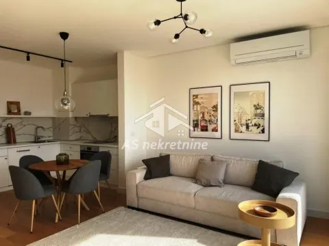 Izdavanje, dvosoban stan, 53m², Vračar Sve Podlokacije, Beograd - image 1