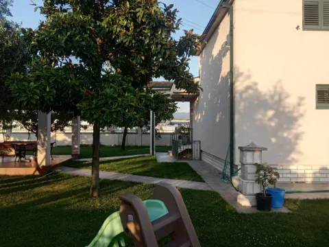 A house yard with a landscaped lawn, trees, and a paved walkway. - image 2