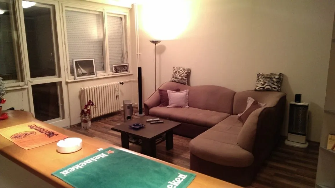 Rent, one bedroom apartment, 40m², Stari Merkator, Novi Beograd Sve Podlokacije