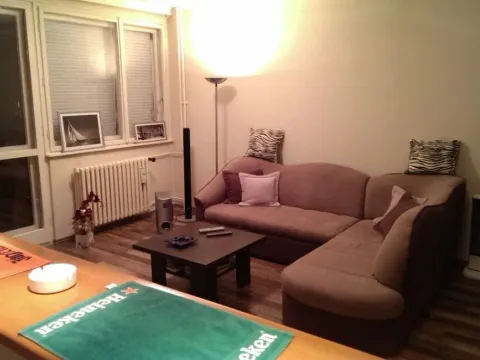 Izdavanje, jednosoban stan, 40m², Stari Merkator, Novi Beograd Sve Podlokacije - image 2