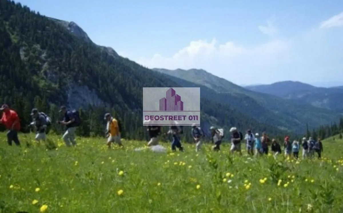 Prodaja, plac, 1500m², Andrijevica, Crna Gora