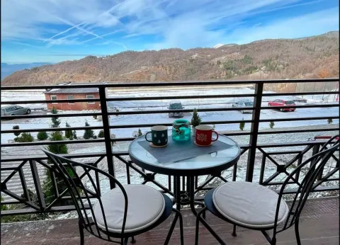 Sale, one bedroom apartment, 29m², Kraljevi Čardaci, Kopaonik - image 15