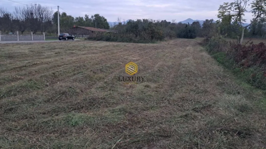 Prodaja, plac, 2890m², Zeta, Podgorica